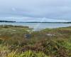 Omokoroa Beach Grove Reserve
