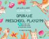 Opunake Preschool Playgym