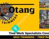 Orang-Otang Tree Trimmers