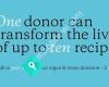 Organ Donation New Zealand