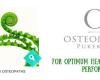 Osteopathy Pukekohe