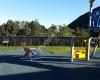Owhiro Bay Play Area