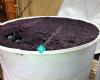 Pagan Vines - Wine sales and Vineyard Accomodation