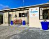 Panda Boarding Cattery