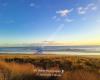 Papamoa Coastal Reserve