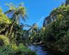 Paparoa National Park