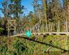 Paparoa Track