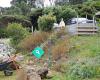 Paradise landscapes great barrier island