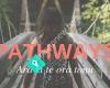 Pathways Te Awamutu