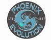Phoenix Evolution