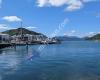 Picton Interislander Vehicle Check-In