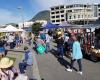 Picton Lions - Cruise Ship Markets