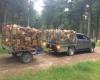 Pine acres (firewood)