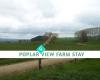Poplar View Farm Stay