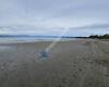 Port Motueka Beach Reserve - Overnight Campervan Parking