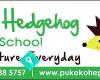 Prickly Hedgehog Pre-School