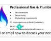 Professional Gas and Plumbing Ltd