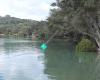 Puhoi River Canoe Hire