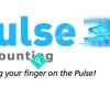 Pulse Accounting