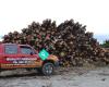 Quality Firewood Dunedin