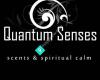 Quantum Senses