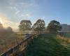 Quarry Paddocks