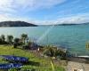 Raglan Waters Edge Villas