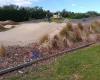 Rangiora Bmx Track