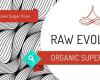 Raw Evolution Organic Superfood Bar