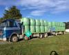 Reisima Transport