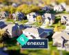Renexus Property Management Manukau