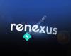 Renexus Real Estate