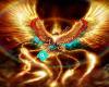 Rising Phoenix Transformation Healing