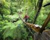 Rotorua Canopy Tours