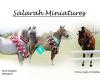 Salarah Miniatures