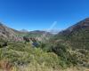 Sawpit Gully Track / Arrow River Trail / Motatapu Track