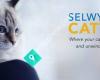 Selwyn Cattery