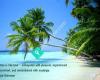Shannon House NZ Travel Brokers