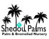 Shedou Palms