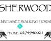 Sherwood Tennessee Walking Horses