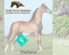 Small Horse Breeders Association of New Zealand Inc.