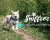 Sniffers - Dog Walking & Homestay