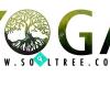 Soul Tree Yoga