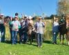 South Auckland Riding for the Disabled