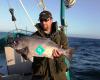 South Island Sea Fishing Solutions