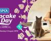 SPCA AUCKLAND