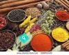 Spices Indian Cuisine
