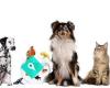 Spices Pet Care