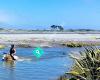 Stepping Stone Farm NZ