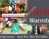 Sterling Warmbloods Ltd